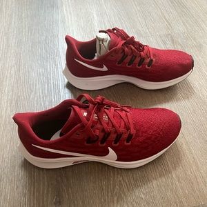 Nike Air Zoom Pegasus